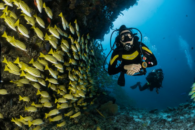 Entdecken Sie Unterwasserwunder: Ihr Leitfaden zum Tauchen in Hurghada, Ägypten